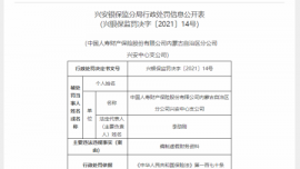中国人寿财产保险内蒙古一支公司因编制虚假财务资料被罚25万元